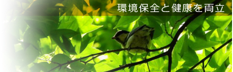 nature2003.jpg